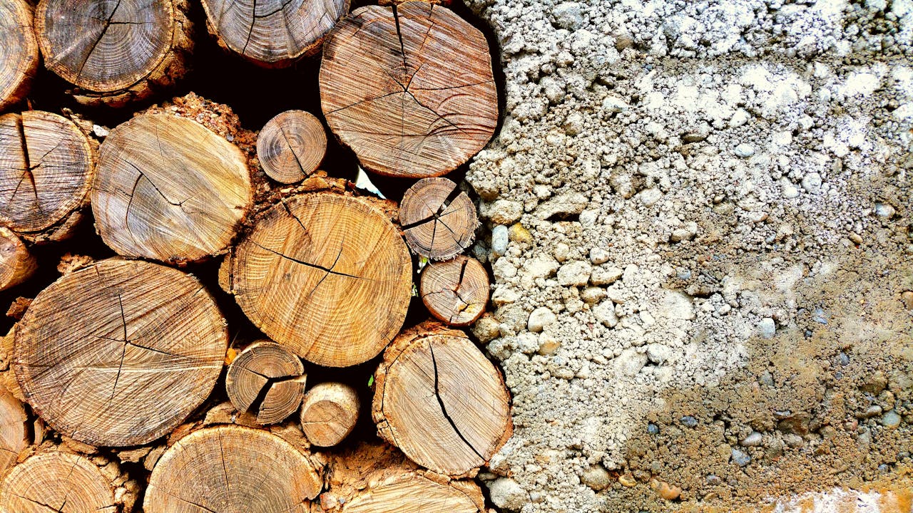 Textured wood logs juxtaposed with a rough concrete surface in Zürich, Switzerland.
